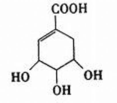 Shikimic Acid 